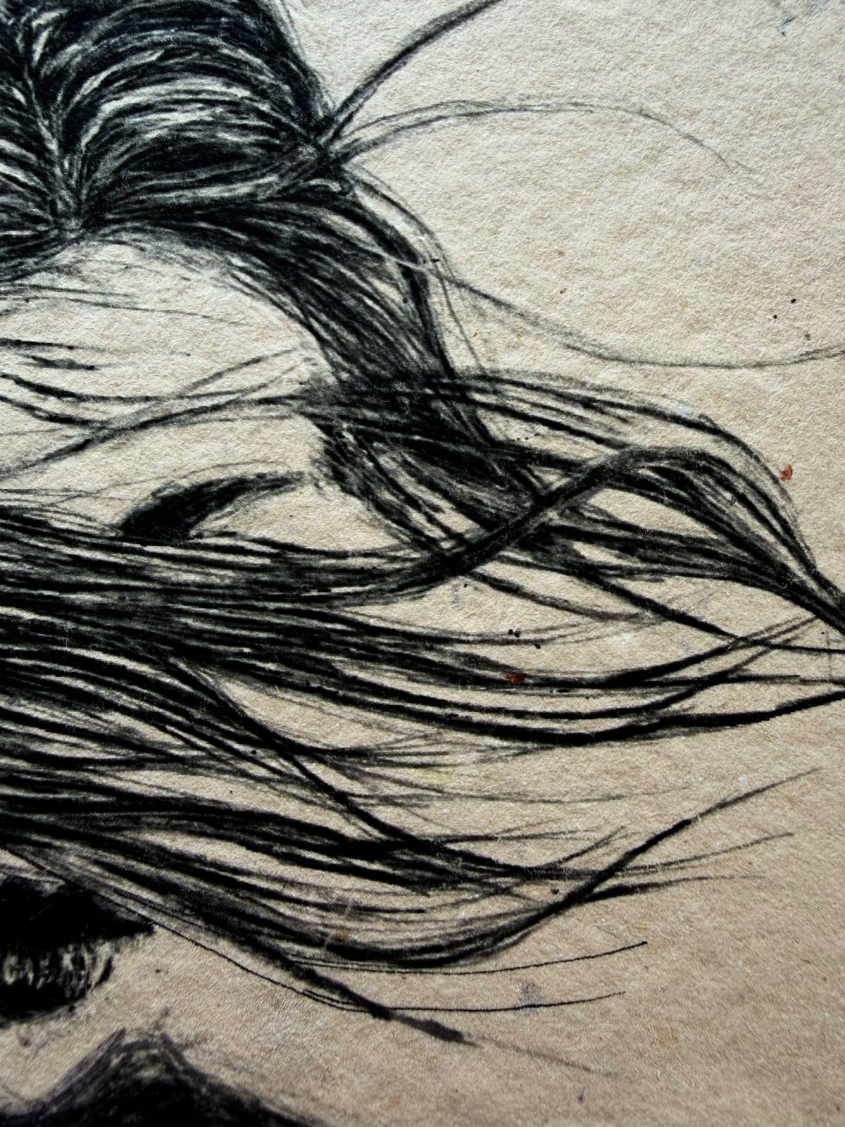 Danza. Tinta, 30 × 21 cm. Norelys Correa