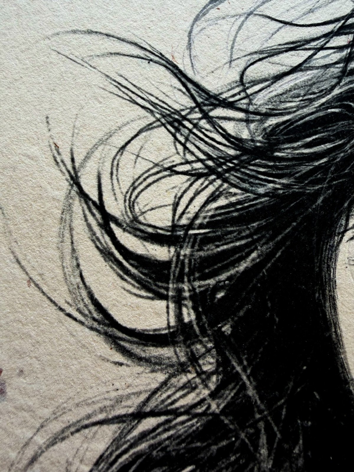 Vendaval. Tinta, 30 × 21 cm. Norelys Correa