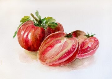 Coração-de-boi. Acuarela, 30 × 21 cm. Norelys Correa