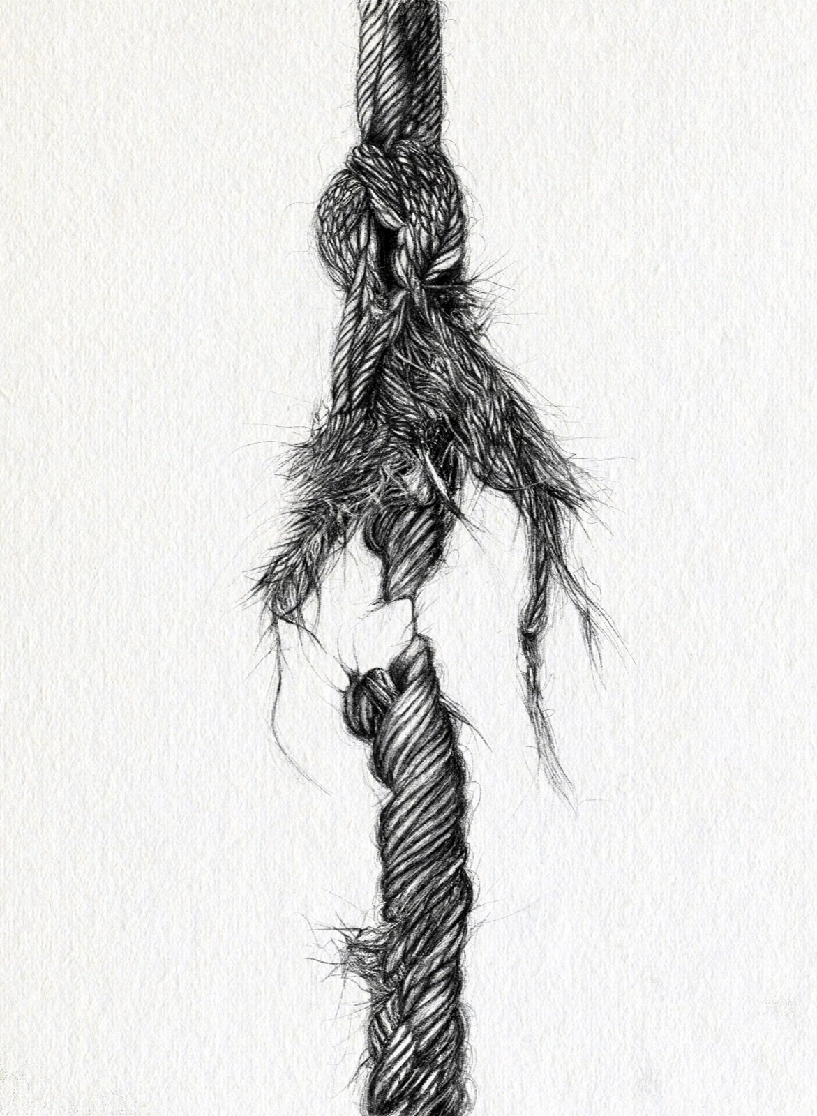 Blunder. Tinta, 30 × 21 cm. Norelys Correa