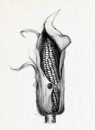 Button. Tinta, 30 × 21 cm. Norelys Correa