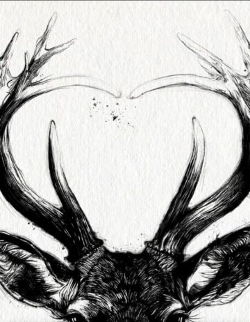 Deer. Tinta, 30 × 21 cm. Norelys Correa