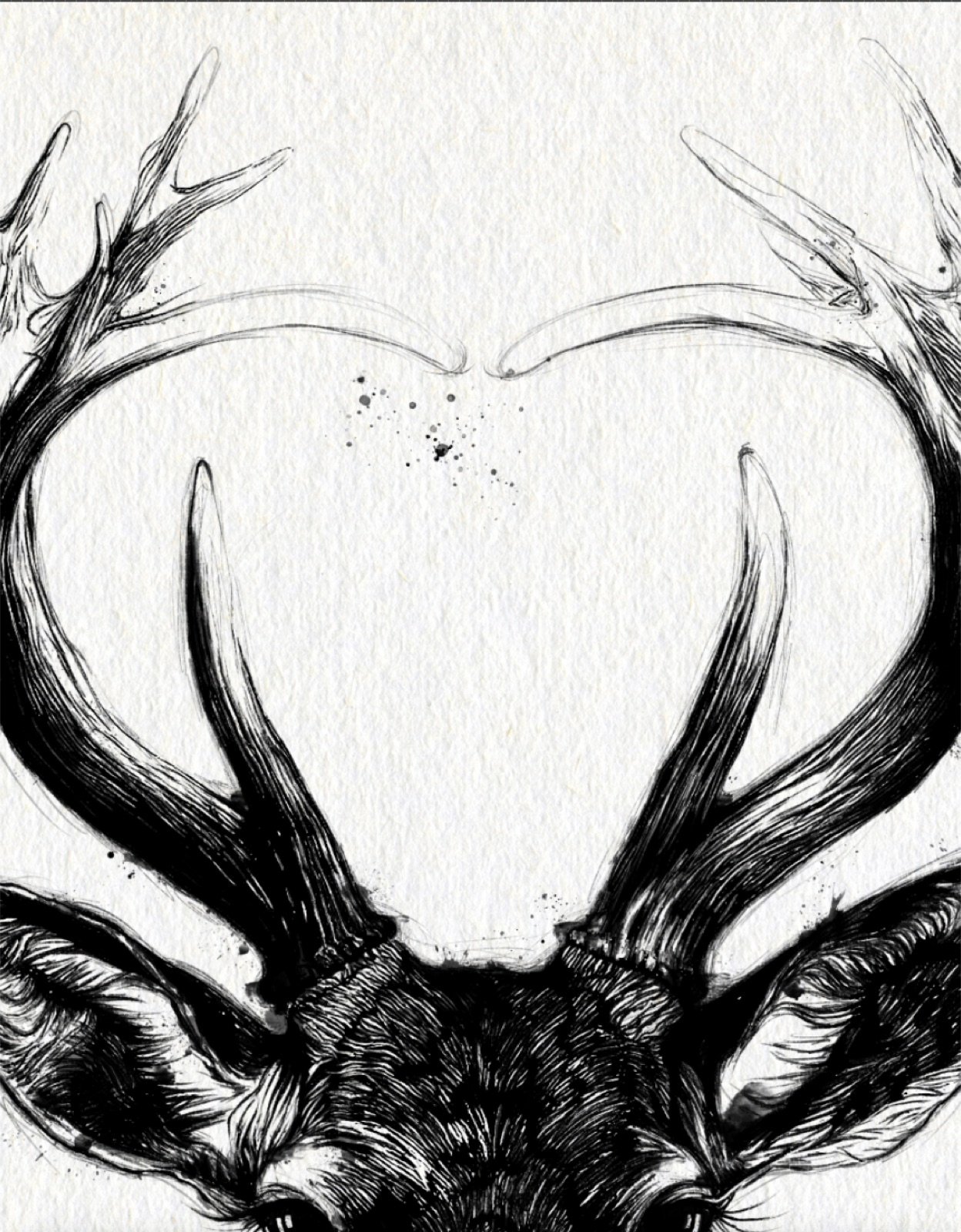 Deer. Tinta, 30 × 21 cm. Norelys Correa