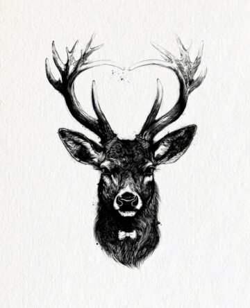 Deer. Tinta, 30 × 21 cm. Norelys Correa